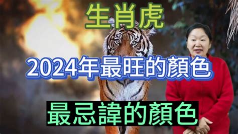 屬虎皮夾顏色|2024龍年十二生肖的「財庫色」解析，用年終獎金投。